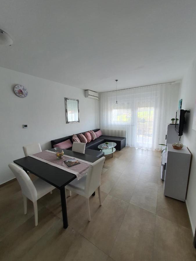 Apartment Vesna Toplice Sveti Martin Sveti Martin Na Muri Esterno foto
