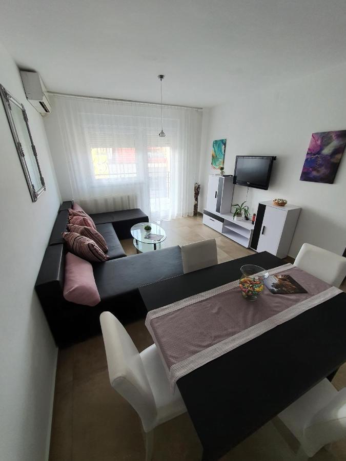 Apartment Vesna Toplice Sveti Martin Sveti Martin Na Muri Esterno foto